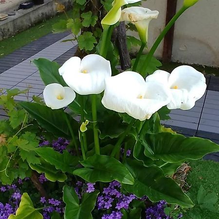 فيلا Great Family House, 80 M To The Sea, In Normandie Hermanville-sur-Mer المظهر الخارجي الصورة