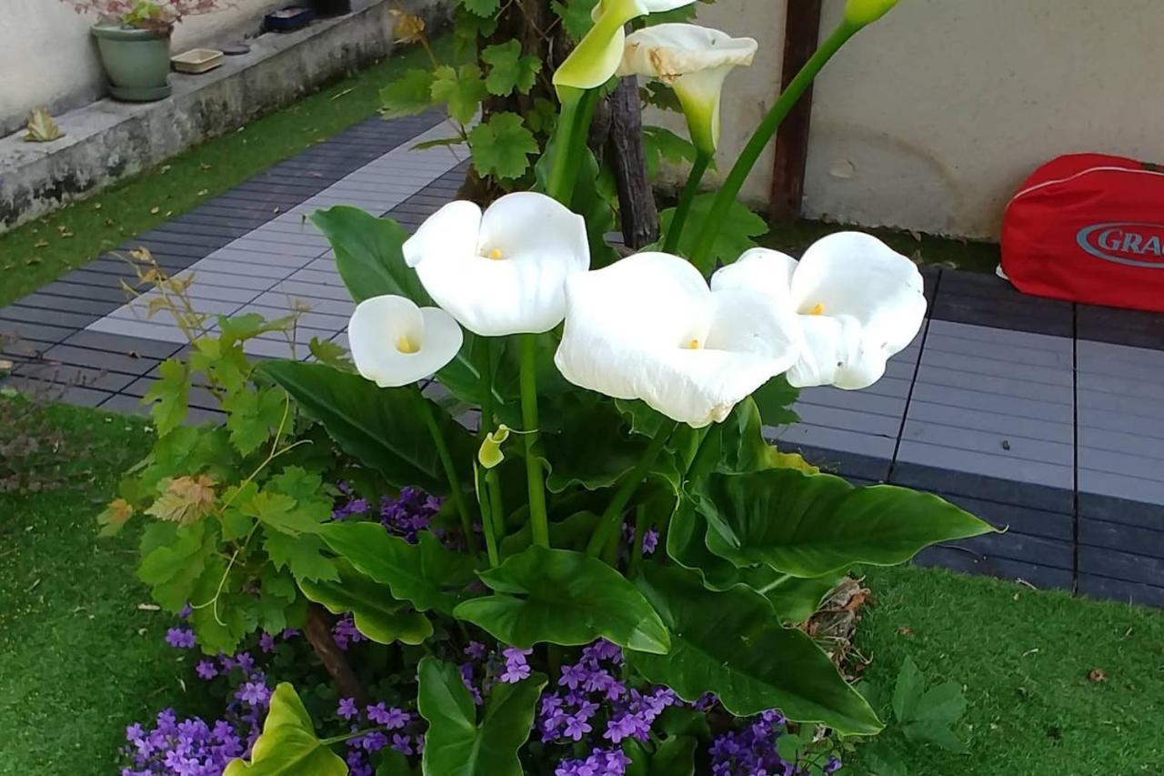 فيلا Great Family House, 80 M To The Sea, In Normandie Hermanville-sur-Mer المظهر الخارجي الصورة